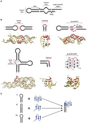 Secondary structure motifs top